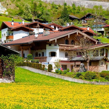 Adlerhorst , Gstan 31 Daire Finkenberg Oda fotoğraf